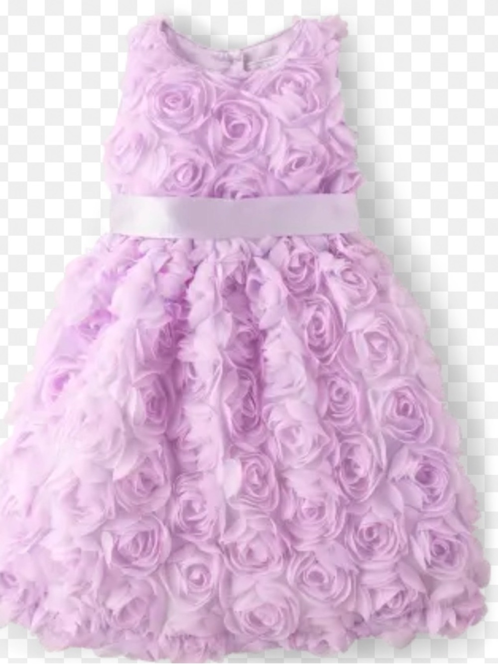 Gymboree Lavender Rose-Textured Party Dress with Satin Waistband